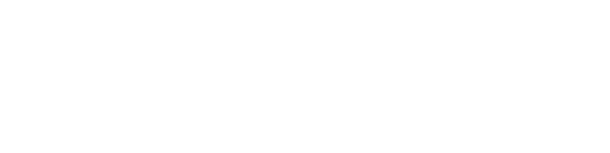 SKF Official Business Logo