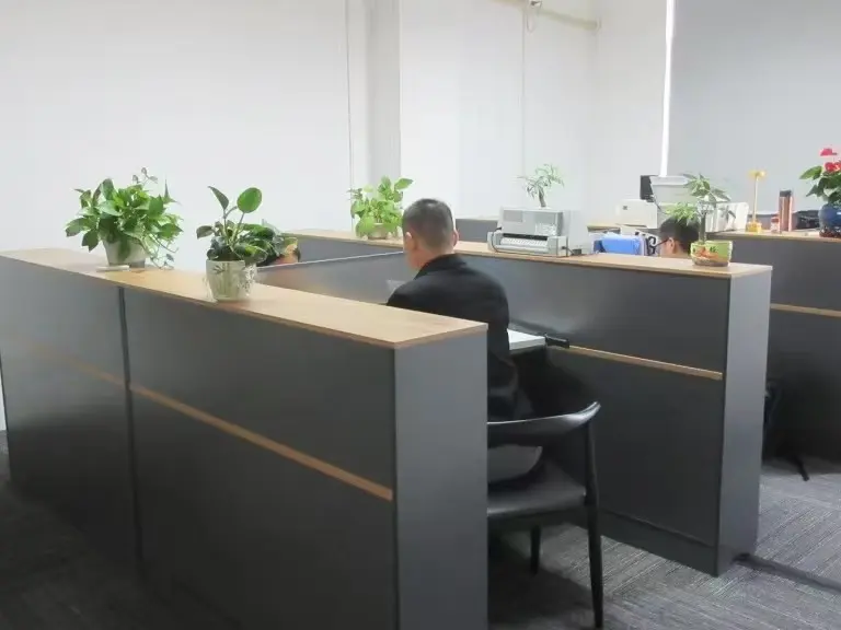 Sales consultation in office